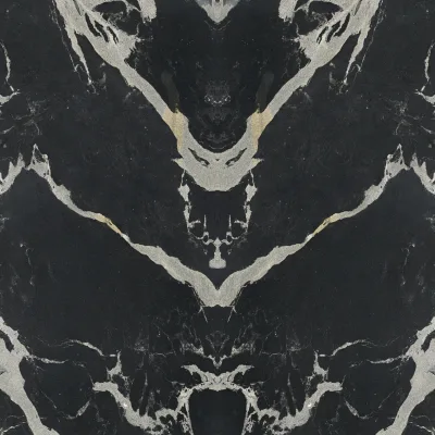 Choice Porcelain Black Swan countertop