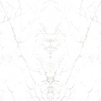 Choice Porcelain Invisible countertop